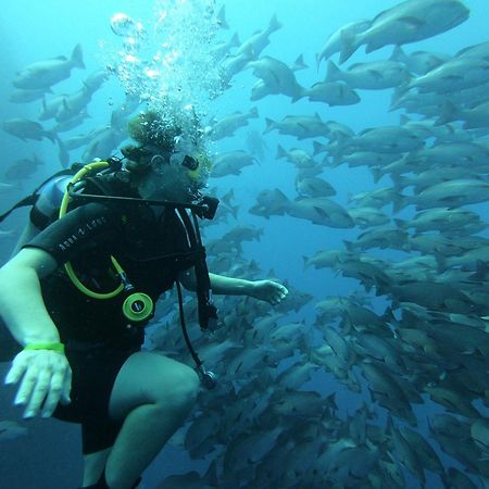 My Hostel In Dahab - Dive Center מראה חיצוני תמונה